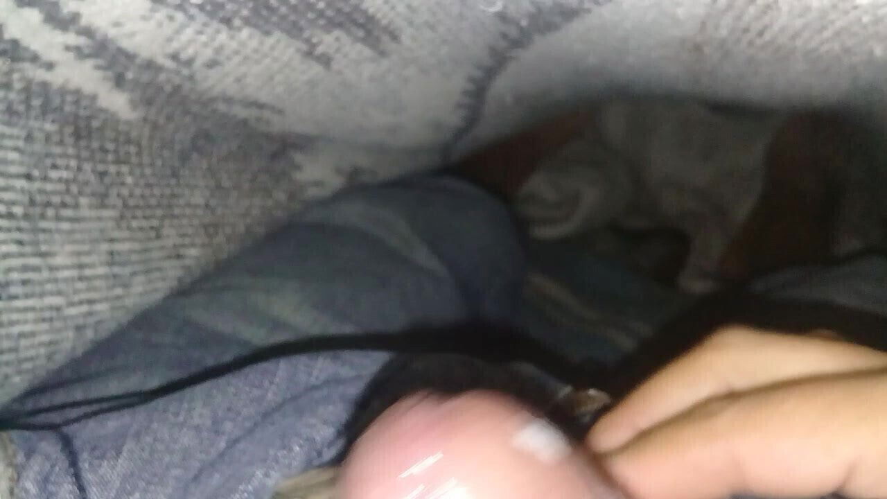 masturbate every day, suck