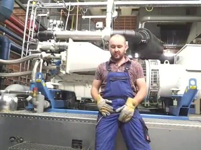 Very cute young bear 