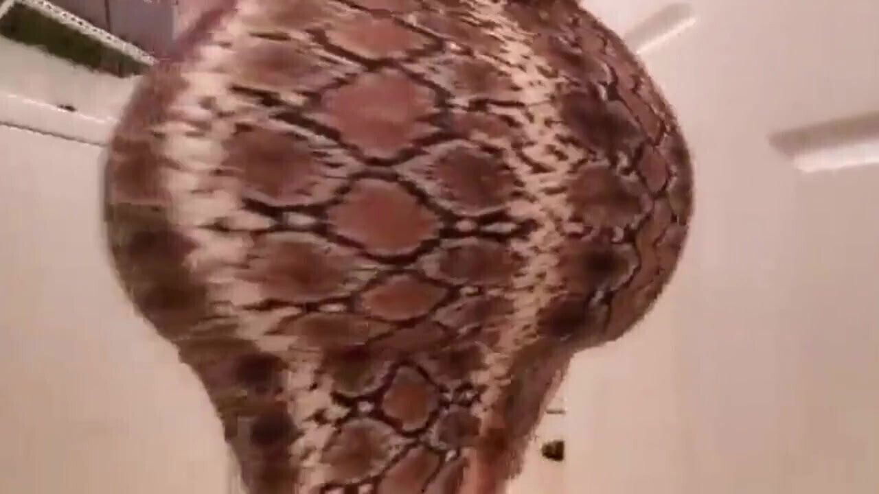 Stepmom & Stepson Affair (Big Latina Stepmom)