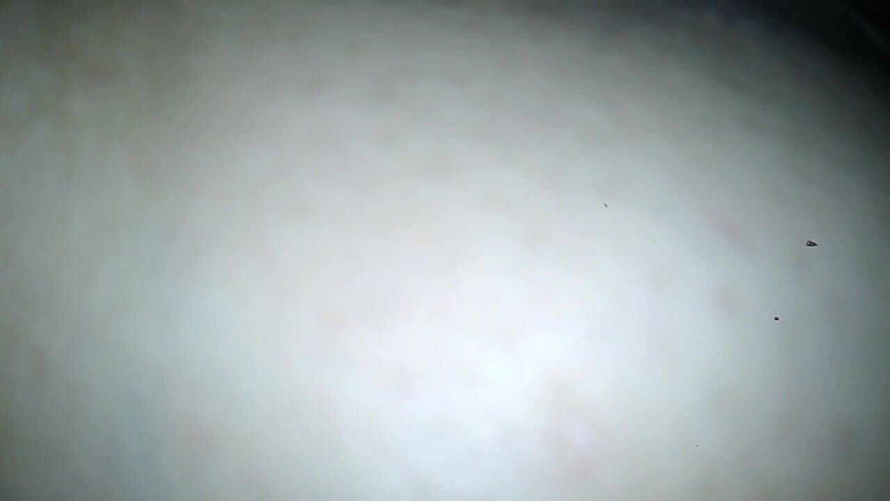 Ex Gf anal italiano friuli