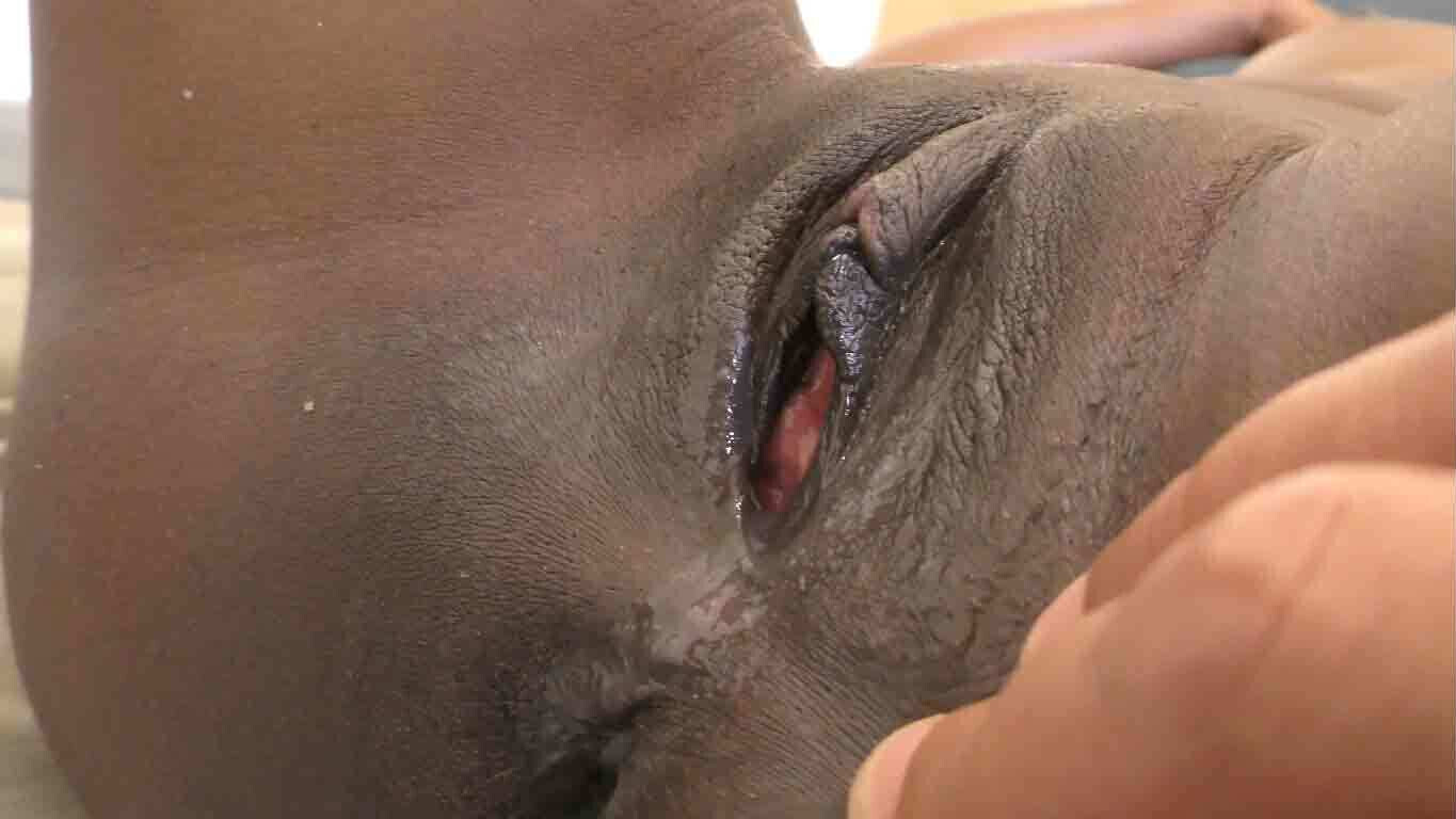 Young ebony student creampie amateur