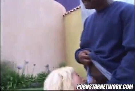 white pussy belongs to the streets