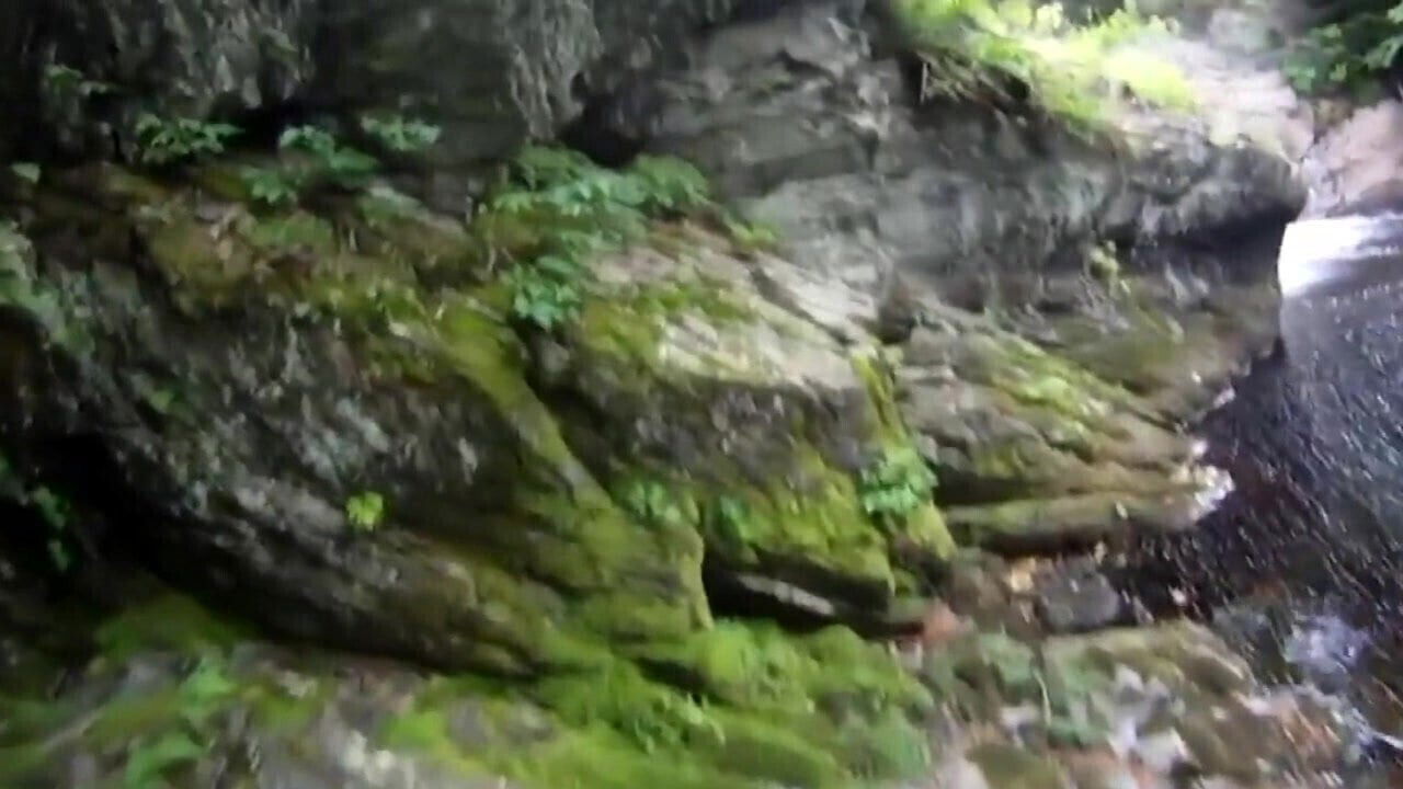 Naked Nature Challenge We dare ! Search Join and Post