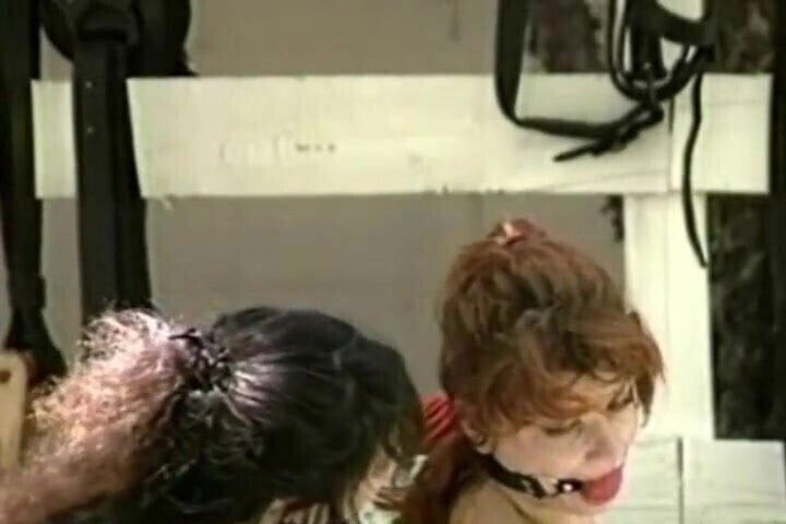 poney girl 01 1993 in harness part 1 humiliation