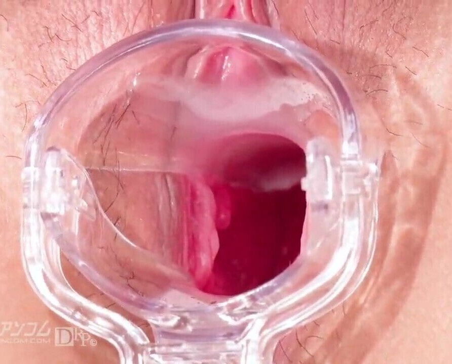 Makoto Shiraishi :: Pussy Encyclopedia 2 - CARIBBEANCOM