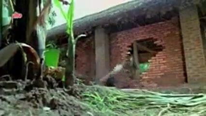 Sridavi hot in bikini