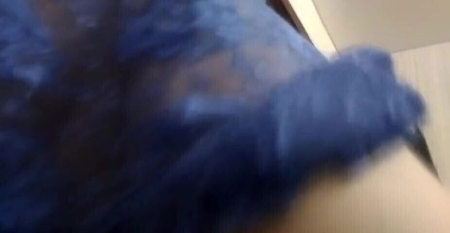 Chubby Aunt Gets Inside