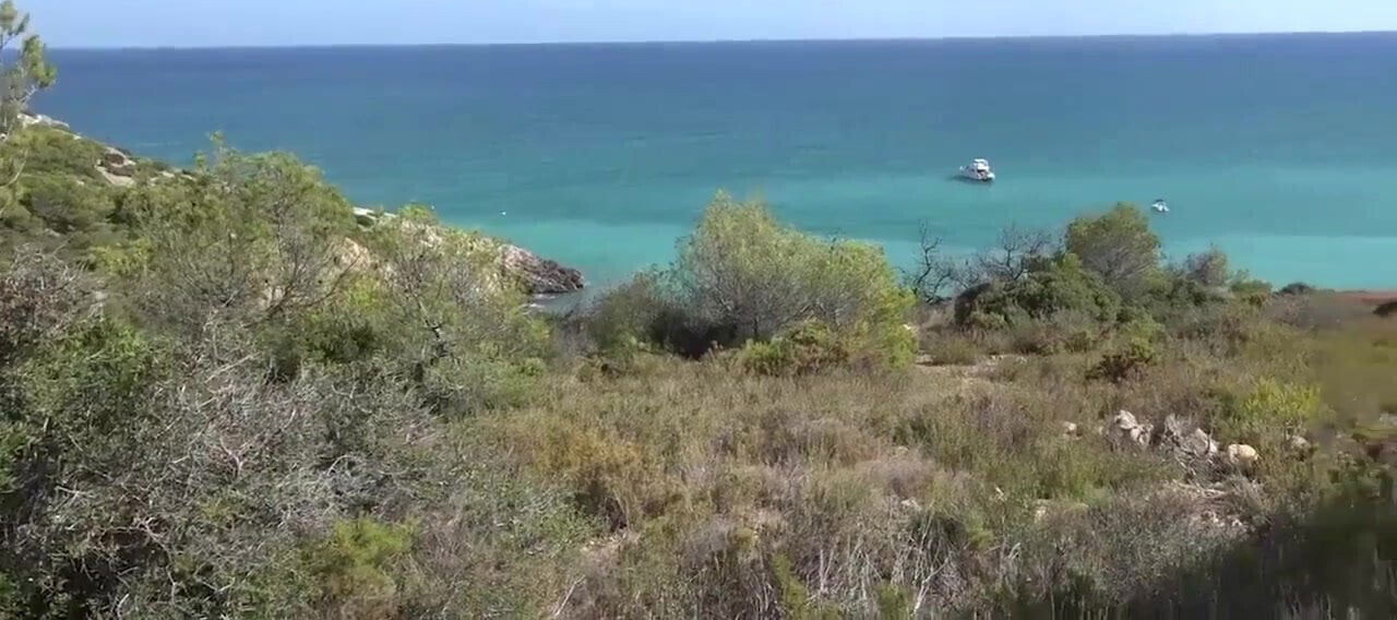 Like bitch you are 01