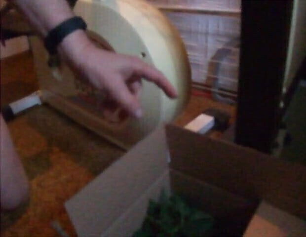 Slave J1306: Cycling with nettles under pain