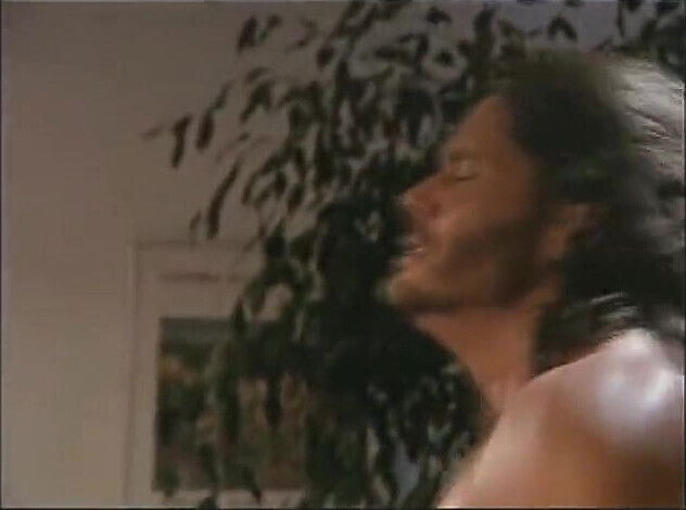 Busty brunette fucks stud