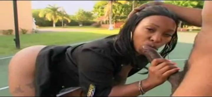 Cherry Blossoms Phat Apple Bottom