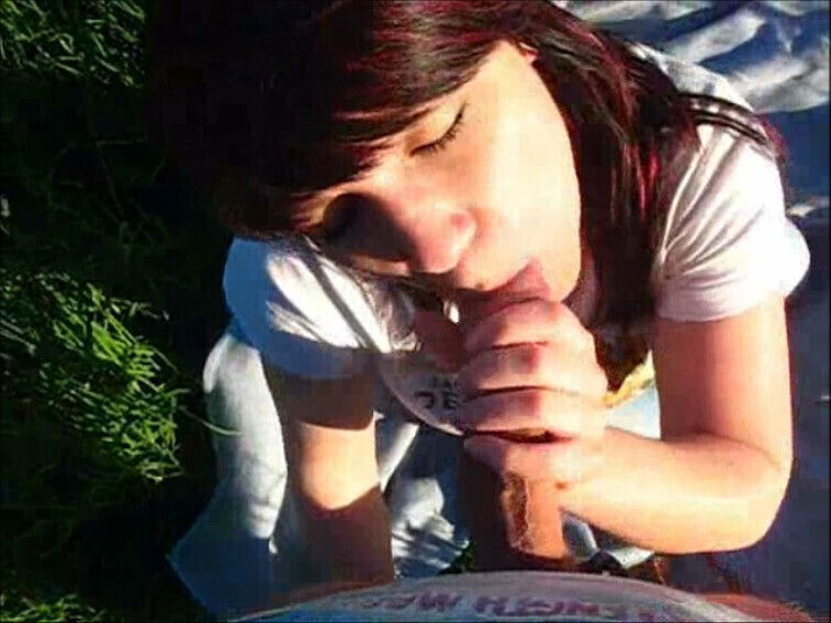 Fick Hamburger Stadtpark Planten Blomen