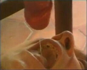 Unter einer scharfen Shemale mein Platz