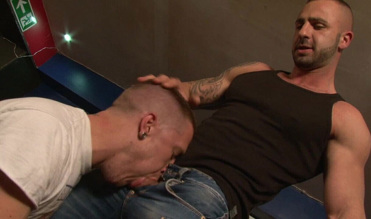 kennedy carter salvadore dolce