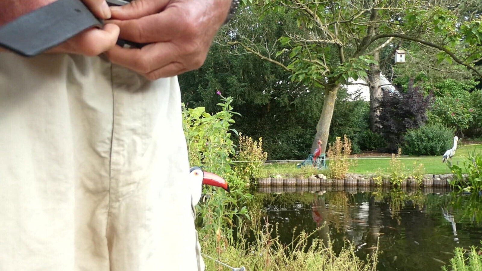 just wanted jerk pond