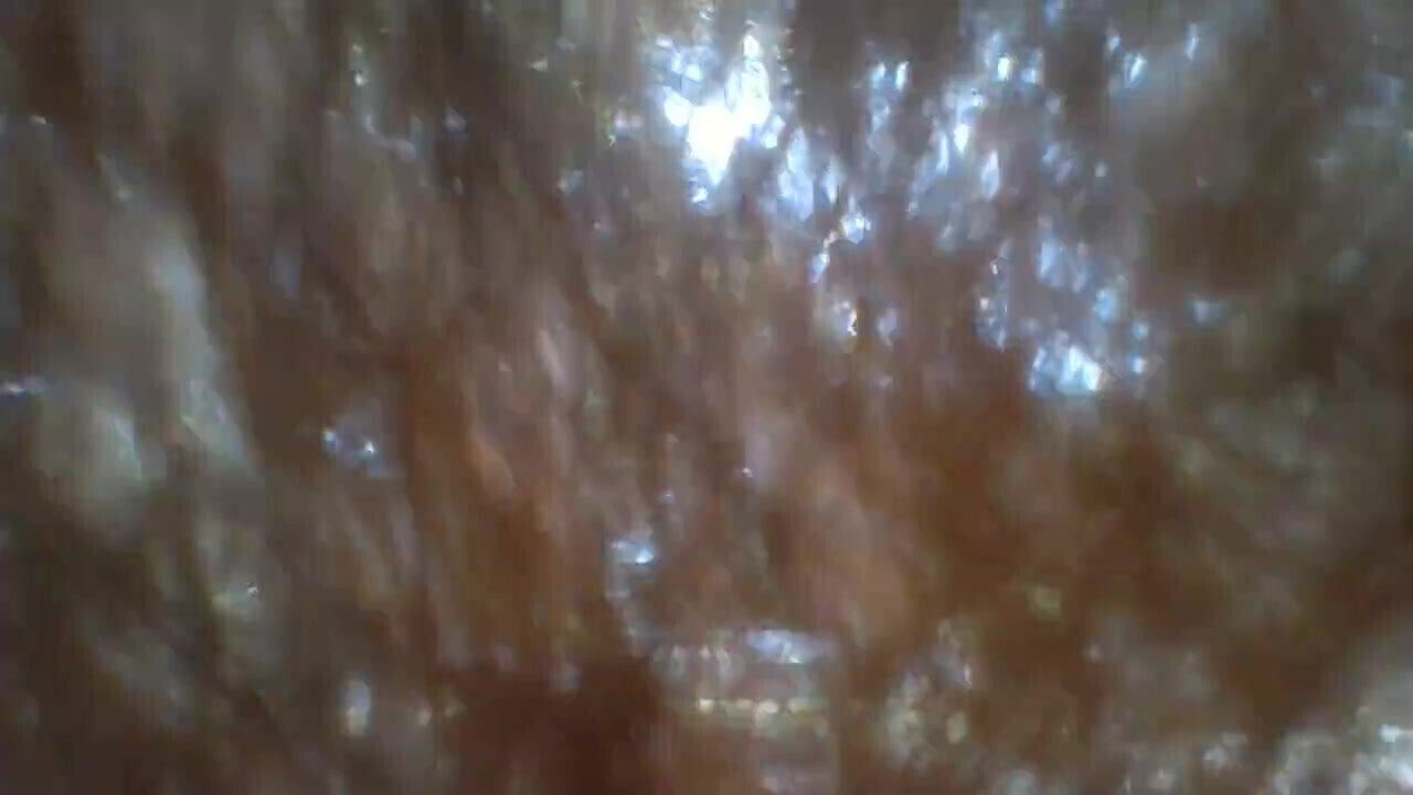 Queen Tournament Profile