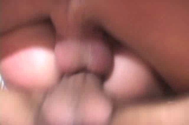 Vixen Vogel double analed