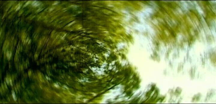 Private life Cassandra Wild