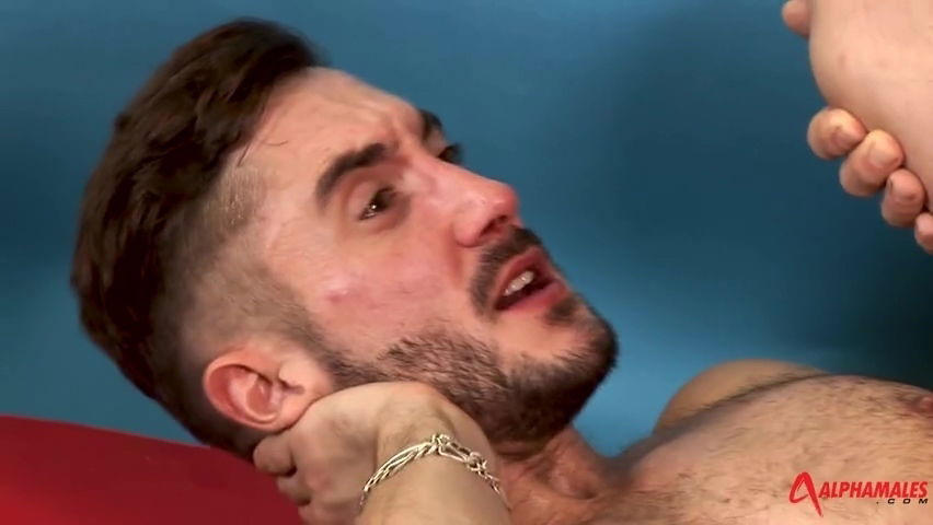 Craig Daniels bonks Photographer