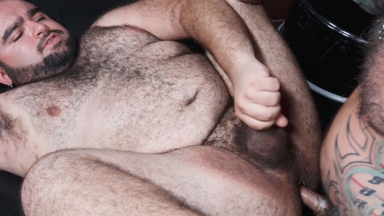 expanding bear style