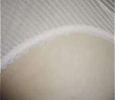 mayate preferido parte