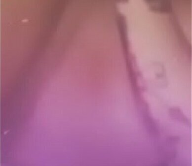 Pussy Fairy doggystyle fucking