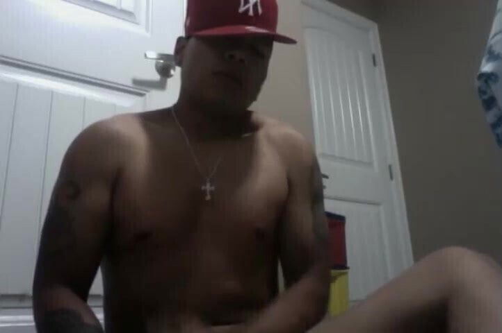 Stroganoff5898126s native