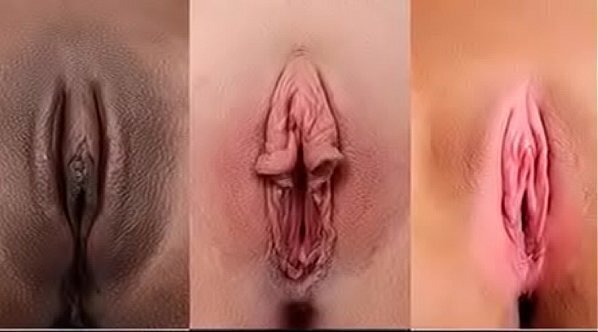 Tipos figuras vajinas