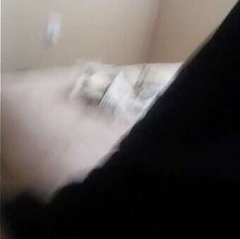 Boogie make white girl fast