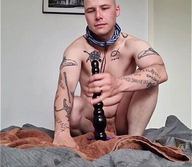 Bitchy Gaywolf Stallion Dick