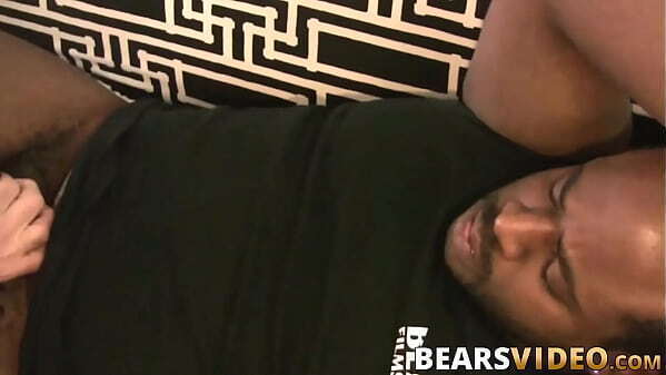 Chubby Bear Jason Roman Blows Before Bareback Doggystyle