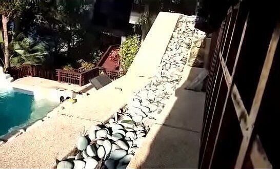 Lenny Tamagos scandal