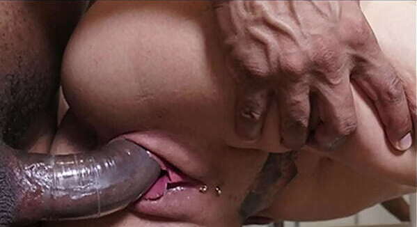 s&oacute_ tinha aninhos