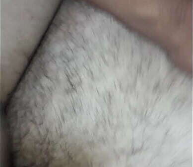 Colita peludita tragona