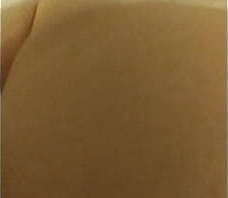 Rebeca madura follando joven