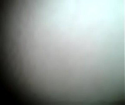 Escort mexicana haciendo oral mientras grab&oacute_