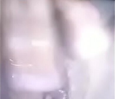 video cachonda pericoapa comida