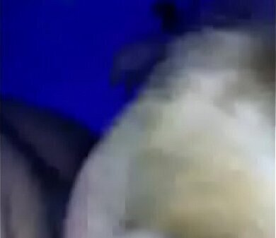 MADURA DANDOME BUENA MAMADA CHOCOLATE