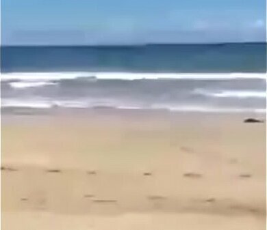 Going natural into nature beautiful beach Panam&aacute_