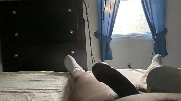 Working from home HARD with morning wood keeping bed. morning wood wants stay play bed.