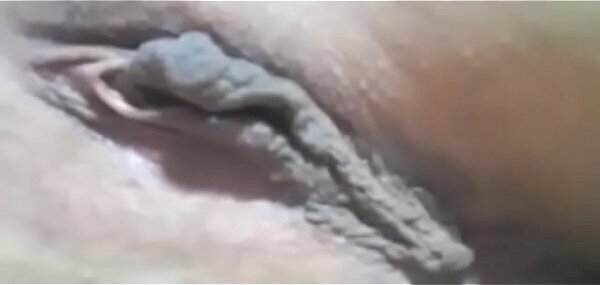 ese&ntilde_ando cincha