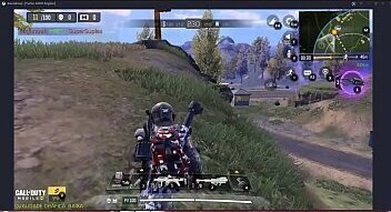 Tarado atr&aacute_s da arvore.