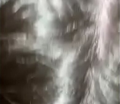 Tinder whore gets bustdown