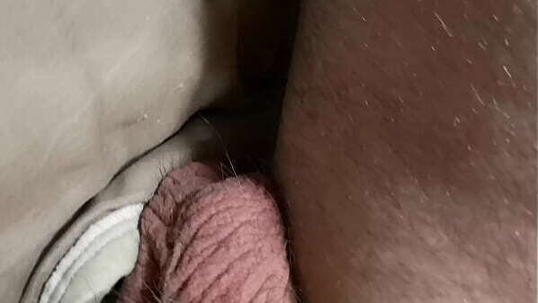 Teste cam&eacute_raman sanglier sauvage producteur acteurs cam&eacute_raman.