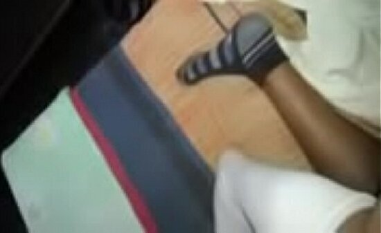 trans activa habish nicoll