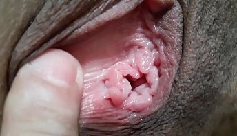 ANALISANDO BUCET&Atilde_O HUGNEN