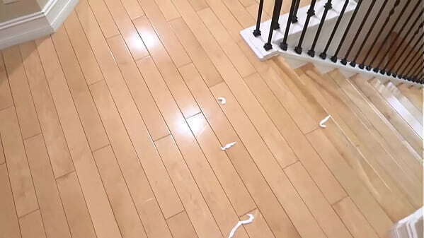 Young pussy fucked stepdad with camera