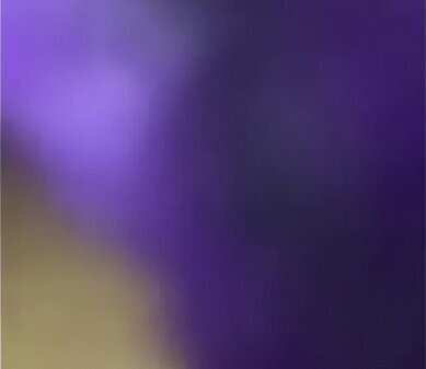 Fernanda Esparta casero novio