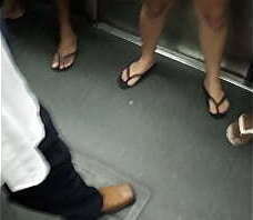 Gostosa bermuda metro