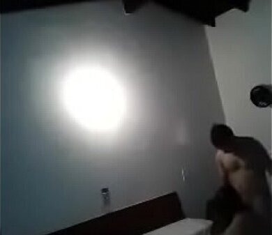 perra sabe como placer